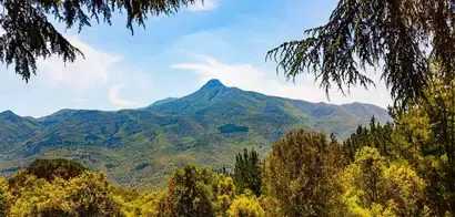 Paisaje de una montaña y un bosque