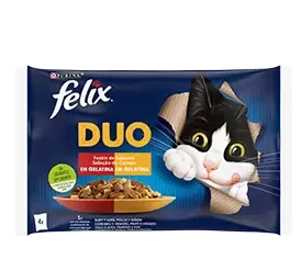 Felix Duo