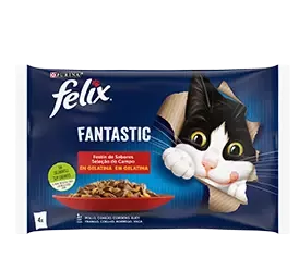 Felix Fantastic
