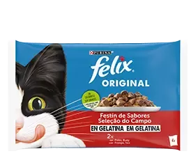 Felix Original