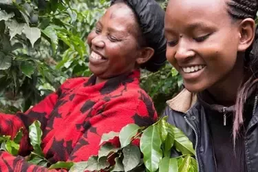 Nescafé Plan mujer en cafetal