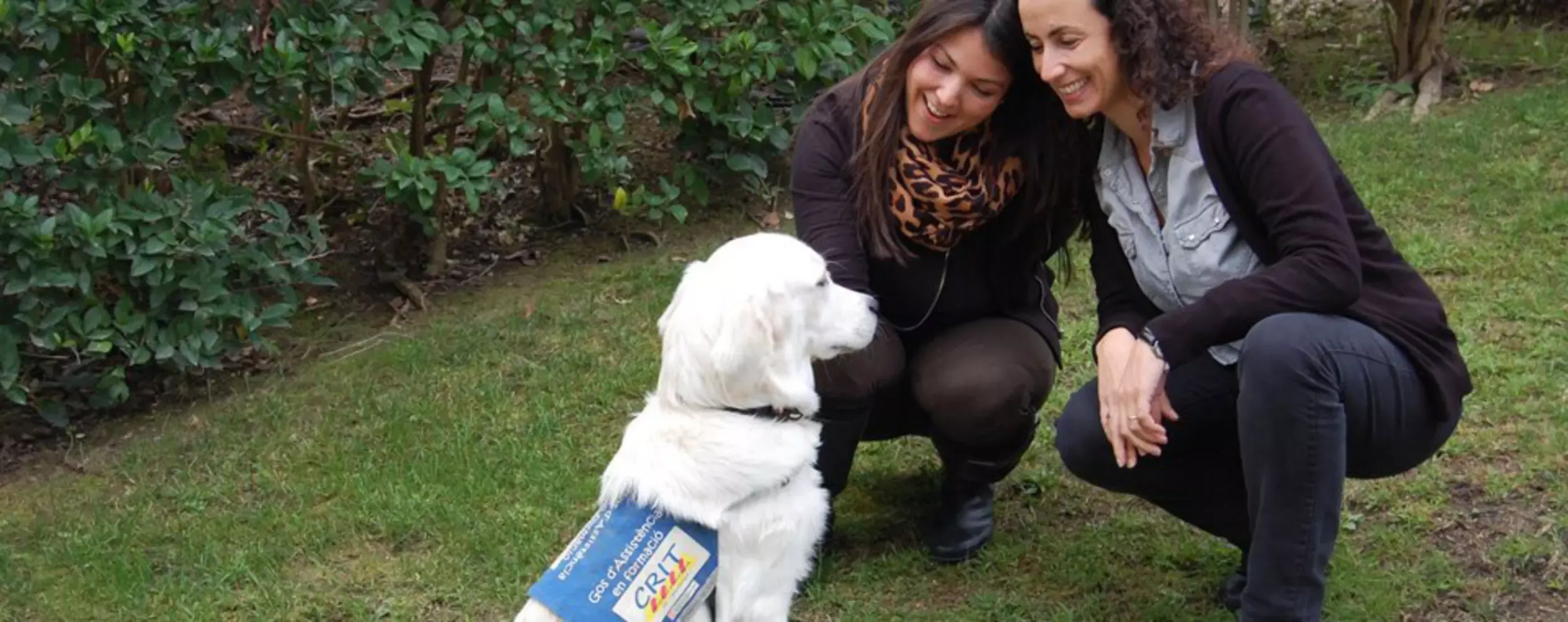 Iniciativa Purina en la Sociedad