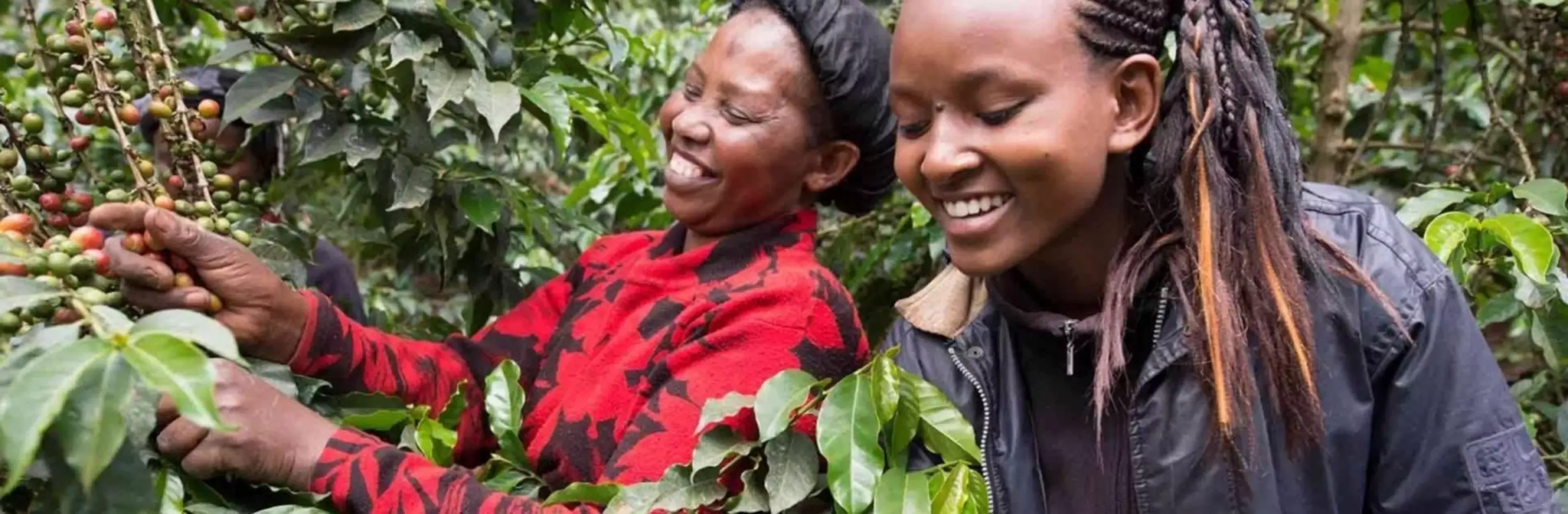 Nescafé Plan mujer en cafetal