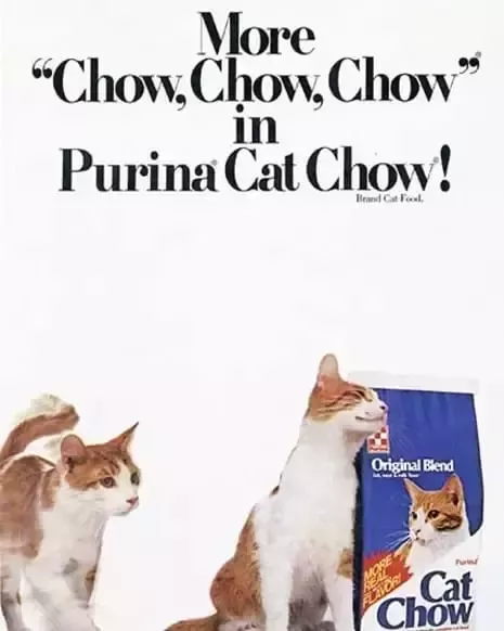 Póster Cat Chow