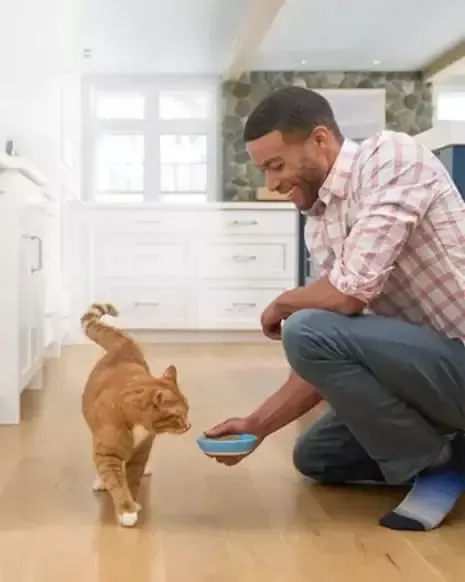 Hombre alimentando gato