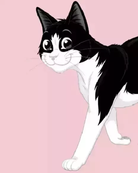 Felix 1989