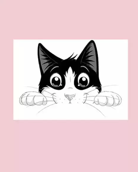 Gato Felix