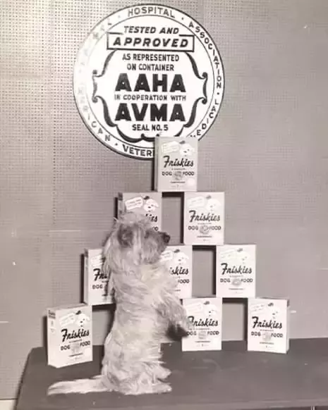 Productos Friskies y perro