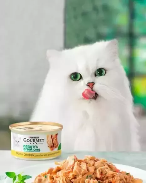 Producto Gourmet