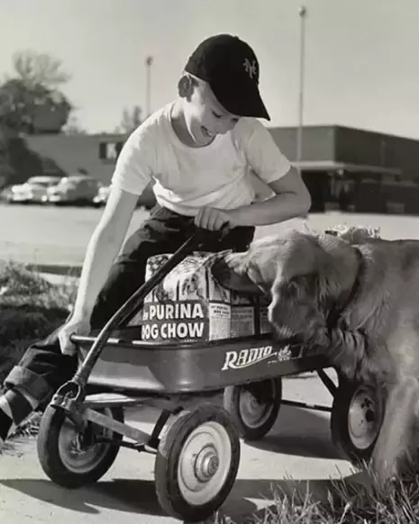 niño con un perro