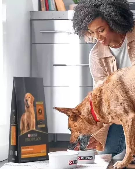 Mujer alimentando a un perro