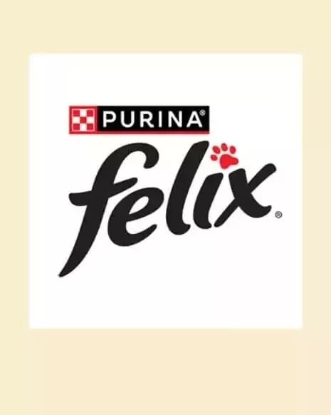 PURINA Felix