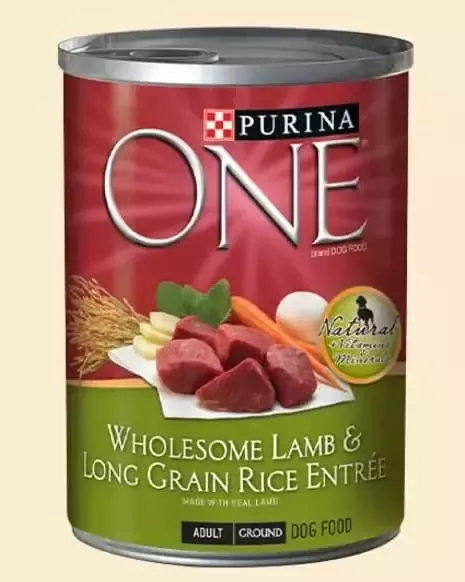 Purina One 2006