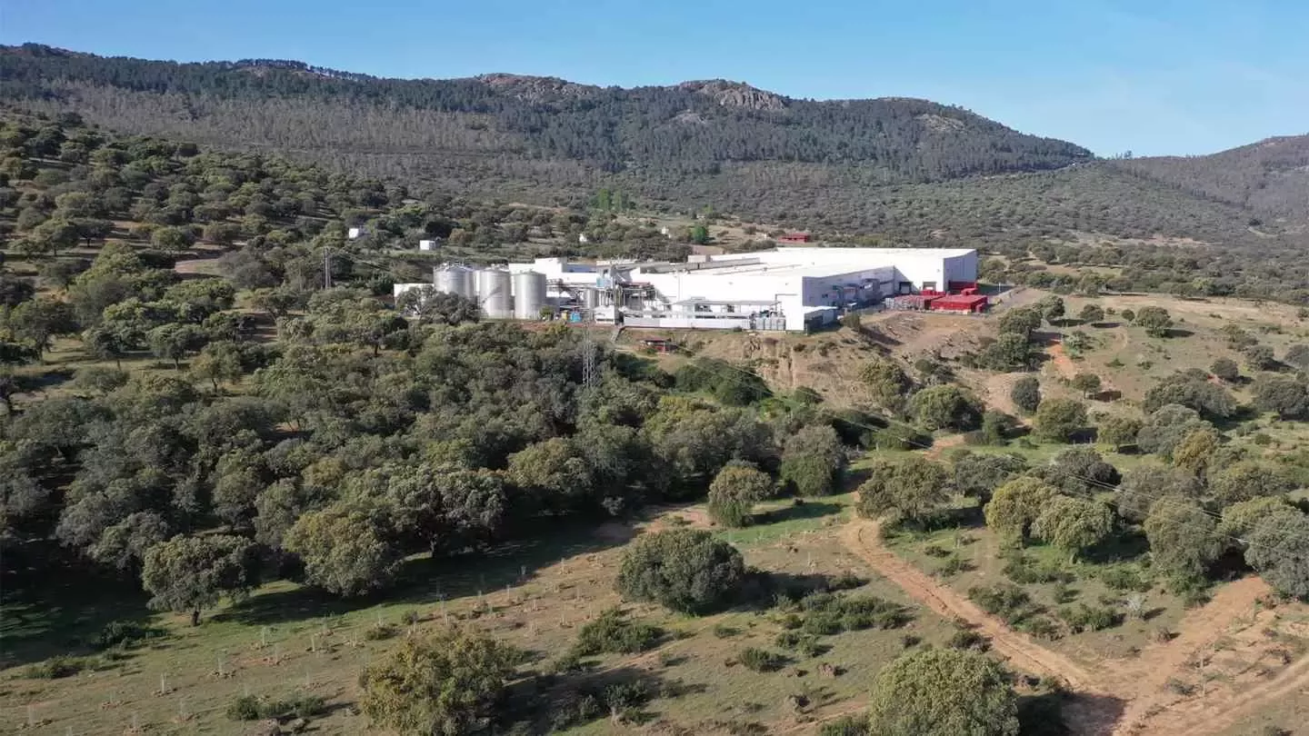 Nestlé planta 1.100 árboles