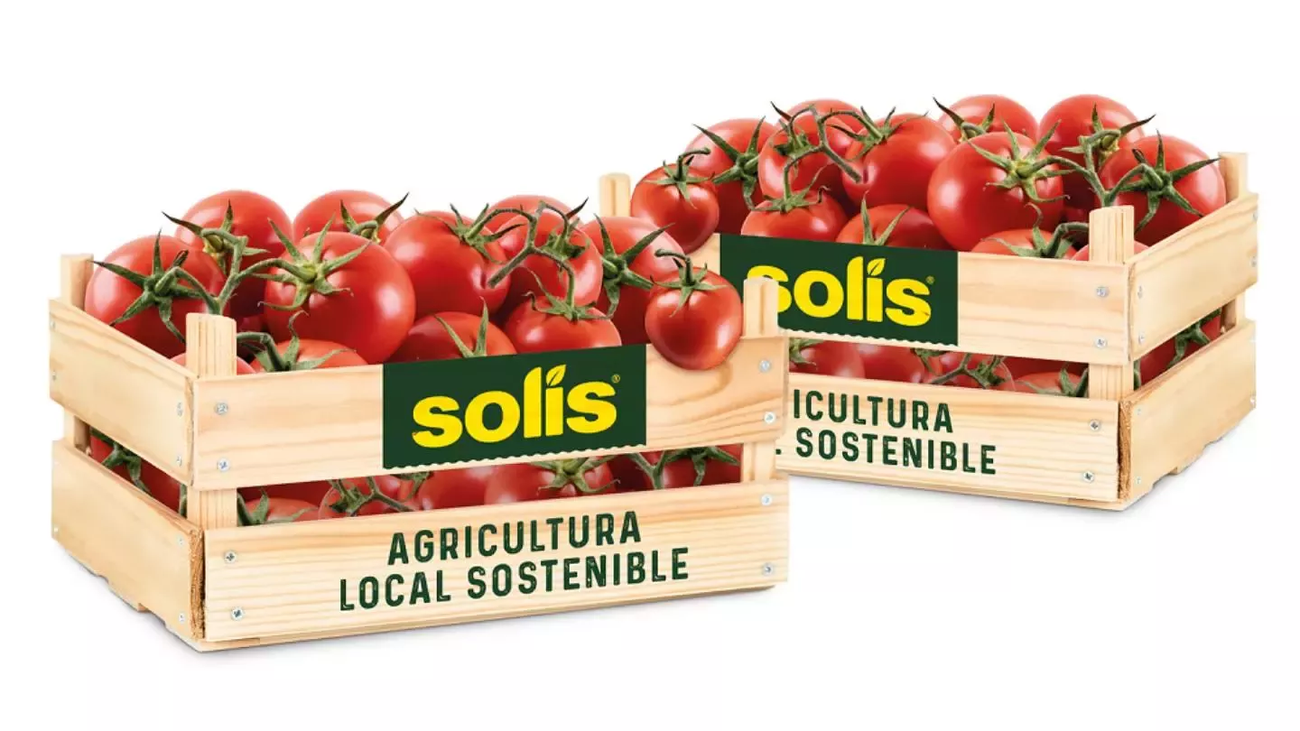 Tomates Solís, agricultura local sostenible
