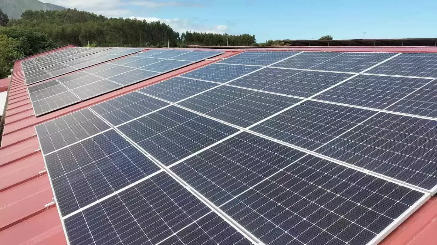Paneles solares fotovoltaicos