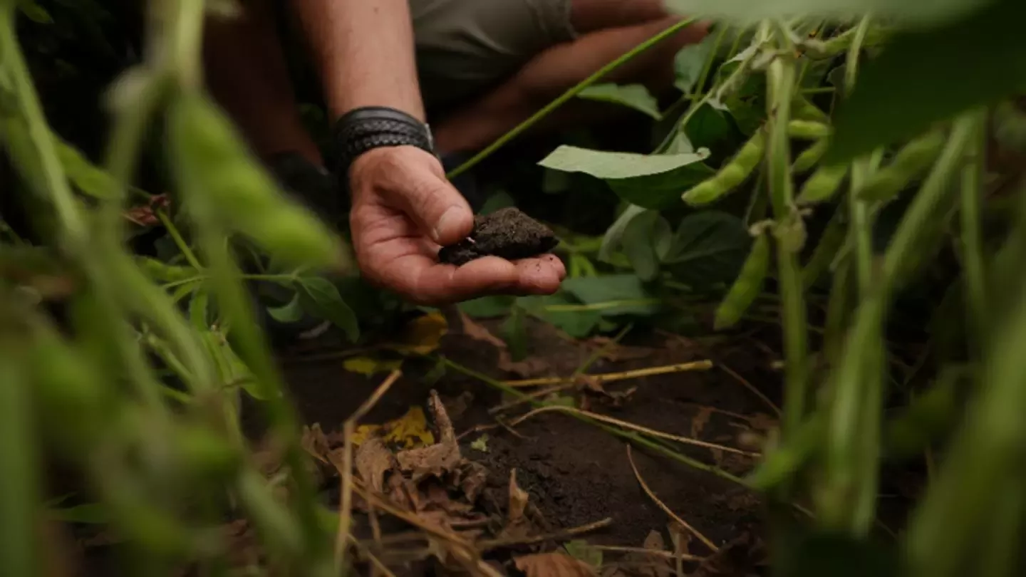 Garden Gourmet impulsa la transición hacia una agricultura regenerativa