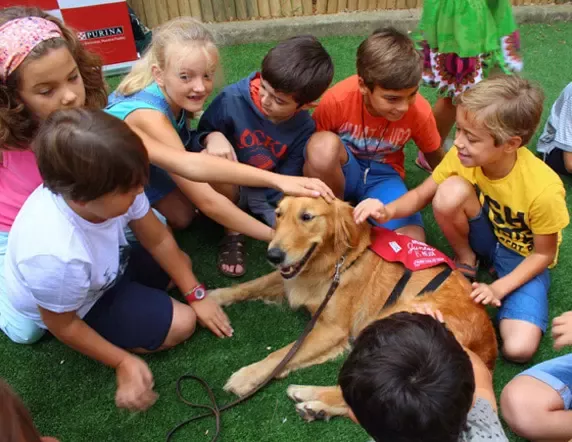 Nuevo programa educativo de PURINA