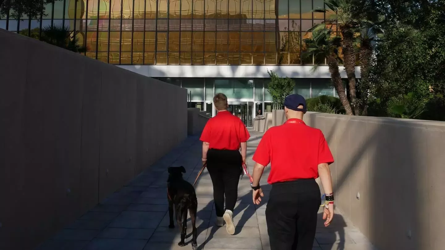 proyecto ‘Pasear Juntos es Mejor’
