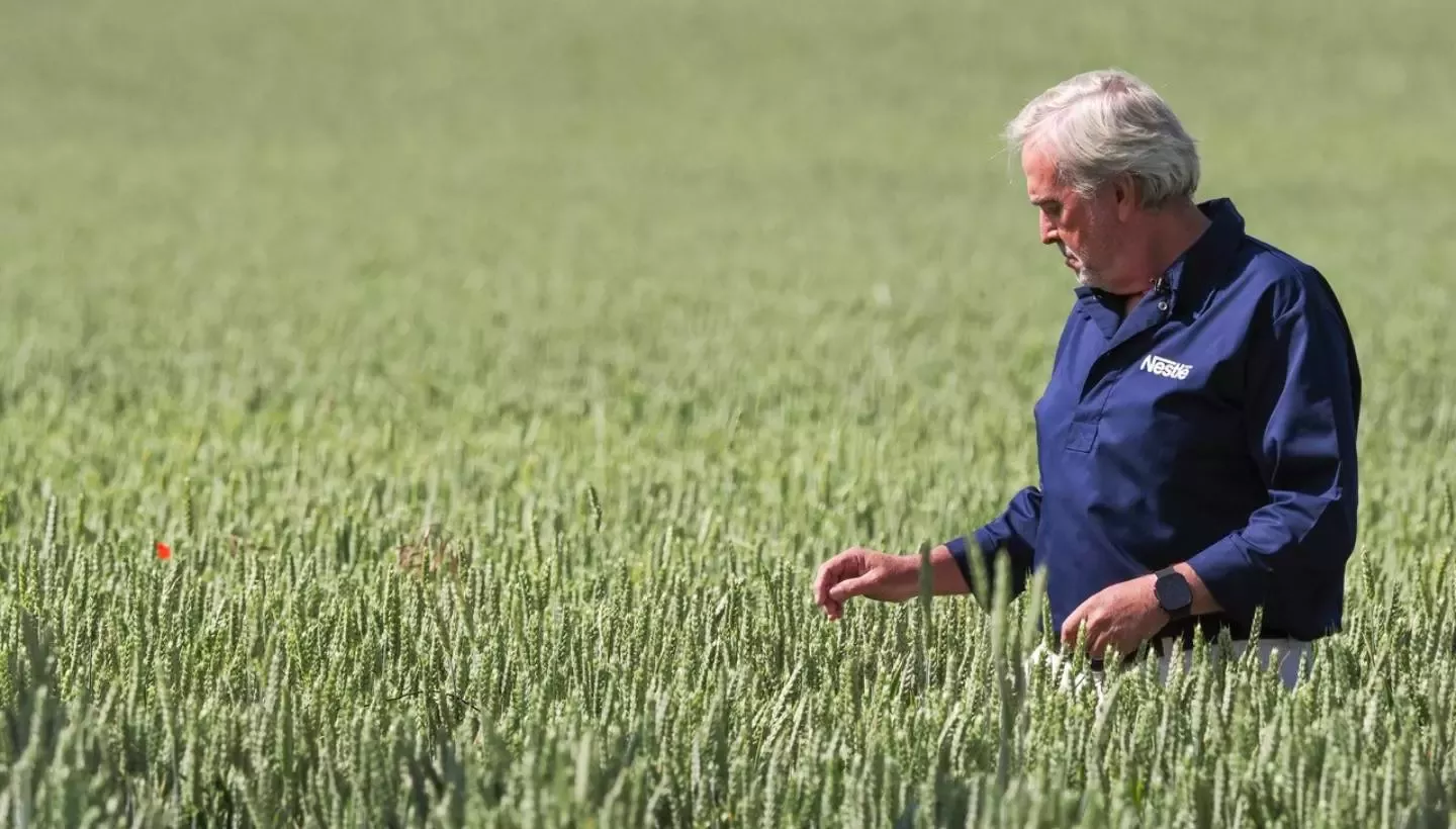 Nestlé invierte cerca de 12 millones de euros en agricultores y ganaderos españoles