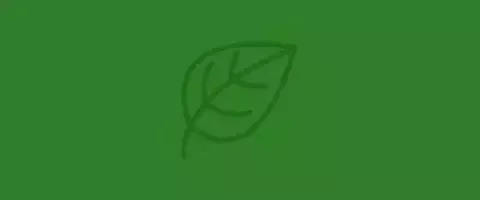 Icono ilustrado verde con una hoja