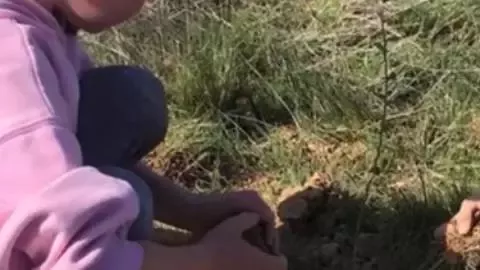 Persona plantant una planta