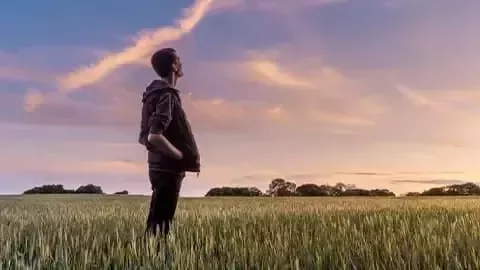 Persona en un campo mirando el atardecer