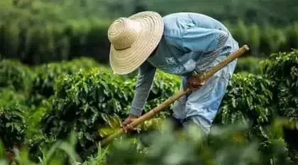 Agricultor trabajando en el campo