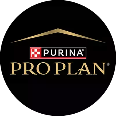 Logo Pro Plan