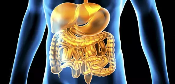 Invertimos en "ecobióticos" para tratar problemas importantes de salud pública