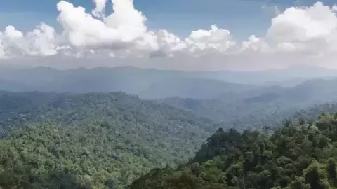 Paisatge