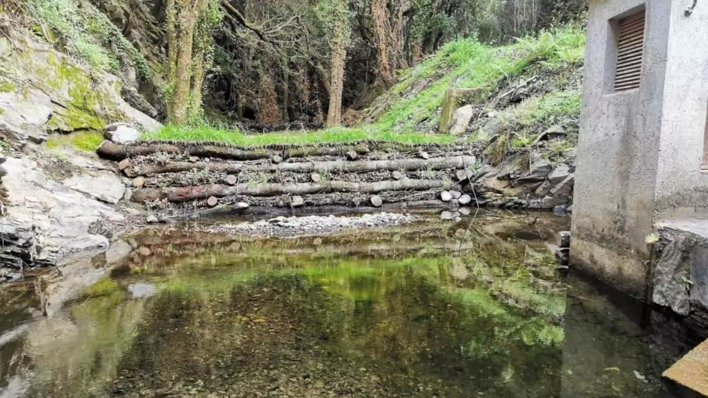 Restauración de cauce fluvial con barrera de troncos