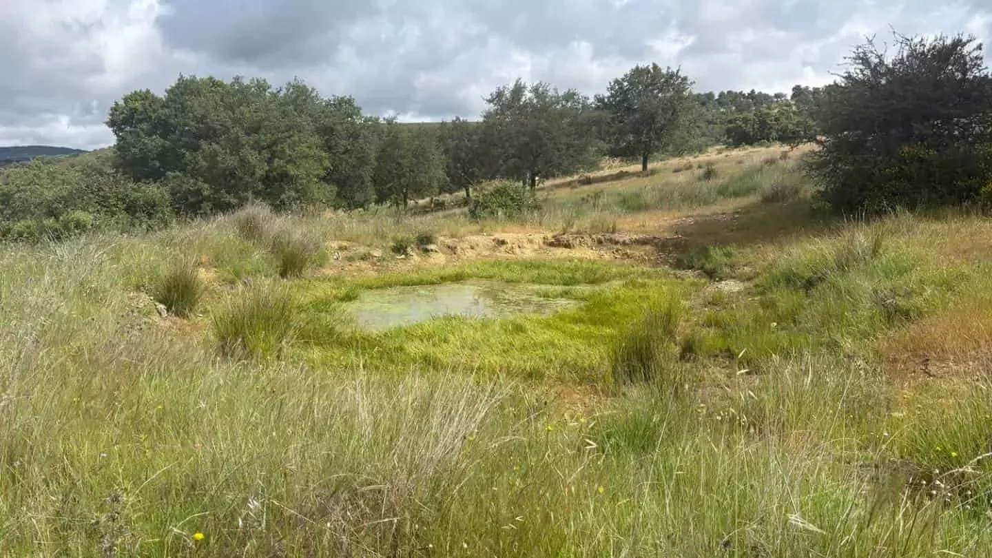 Turbera restaurada en la Reserva de la Biosfera de La Siberia