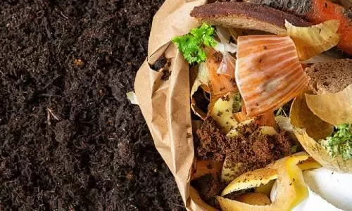 Dia Internacional de la Concienciació sobre la Pèrdua i el Desperdic d'Aliments