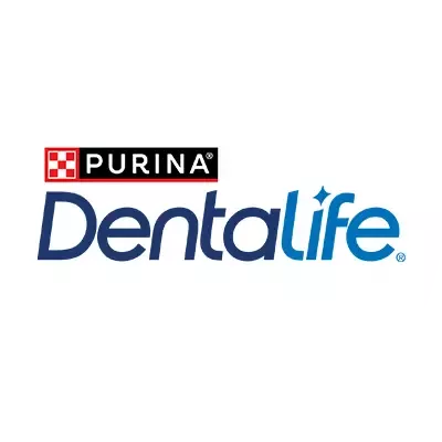 Logo dentalife