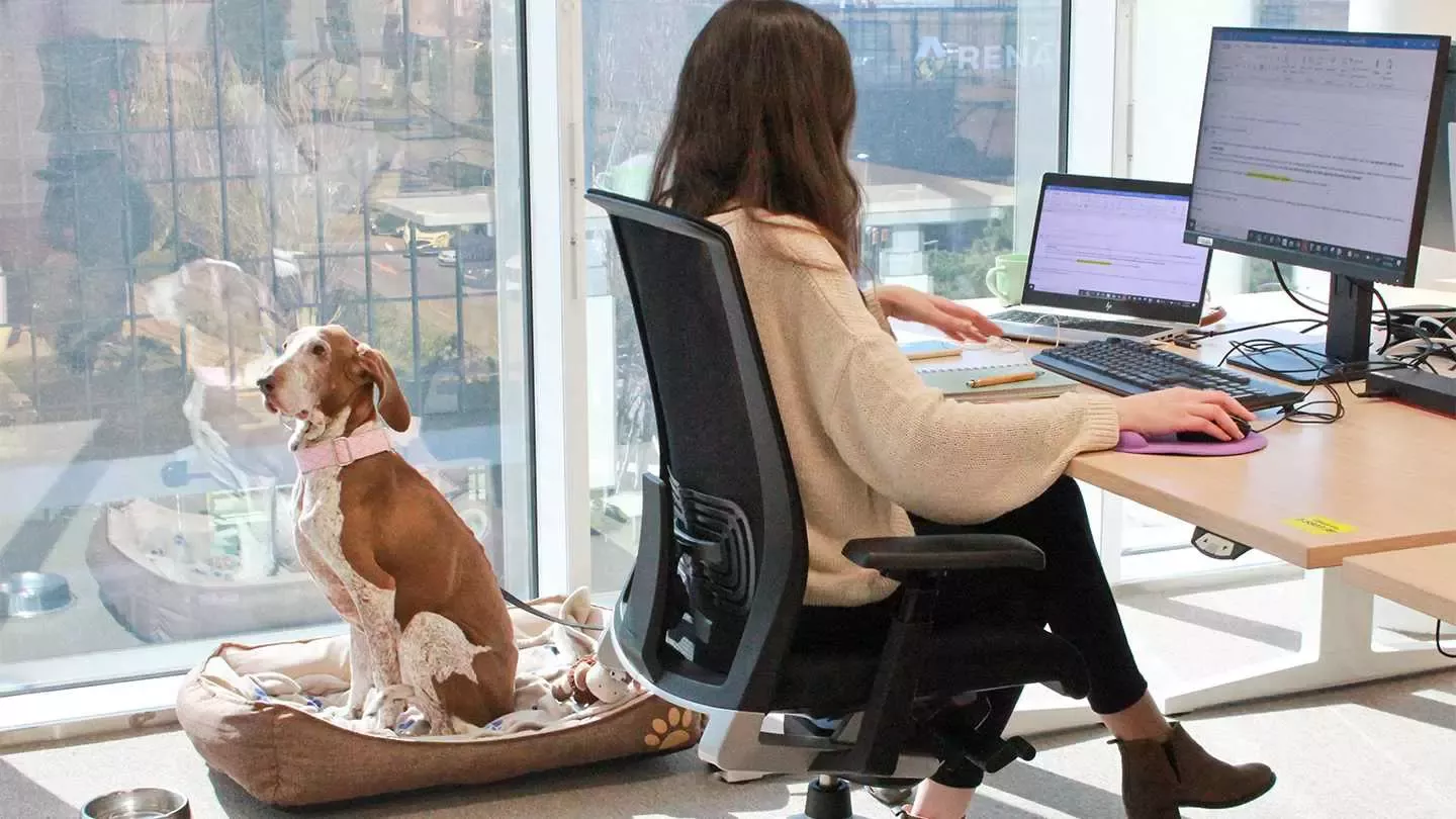 Mujer trabajando con un perro al lado en las oficinas de Purina