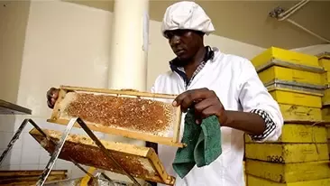 HoneyCare, Ganador del Premio de Creación de Valor Compartido