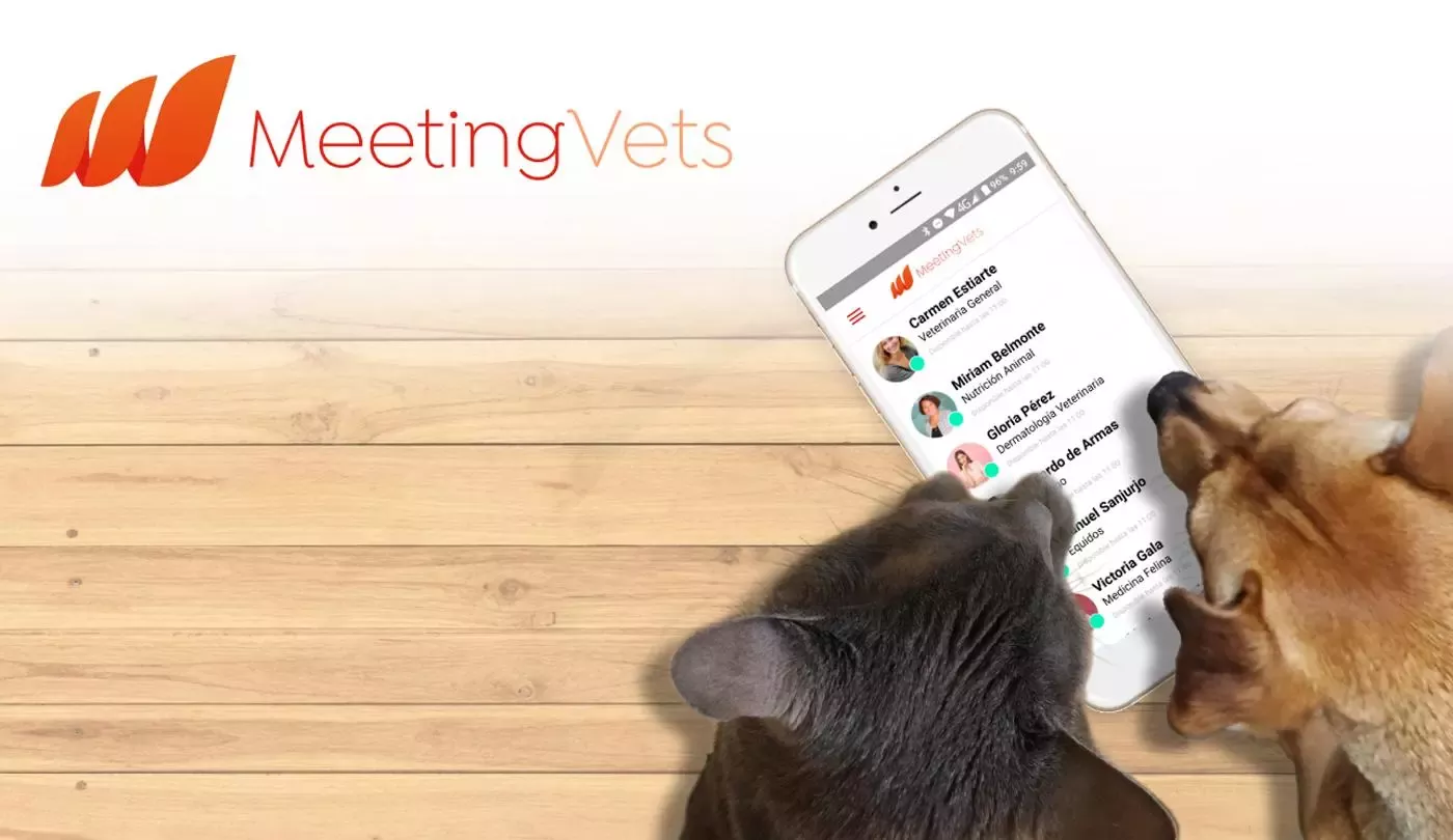 Meeting Vets