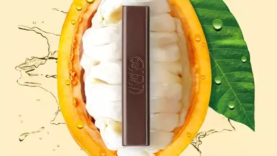 El primer chocolate negro 70% elaborado únicamente con fruto del cacao