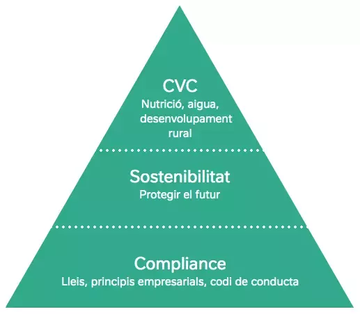 La creació de valor compartit en detall