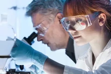 Investigación en Nutrición