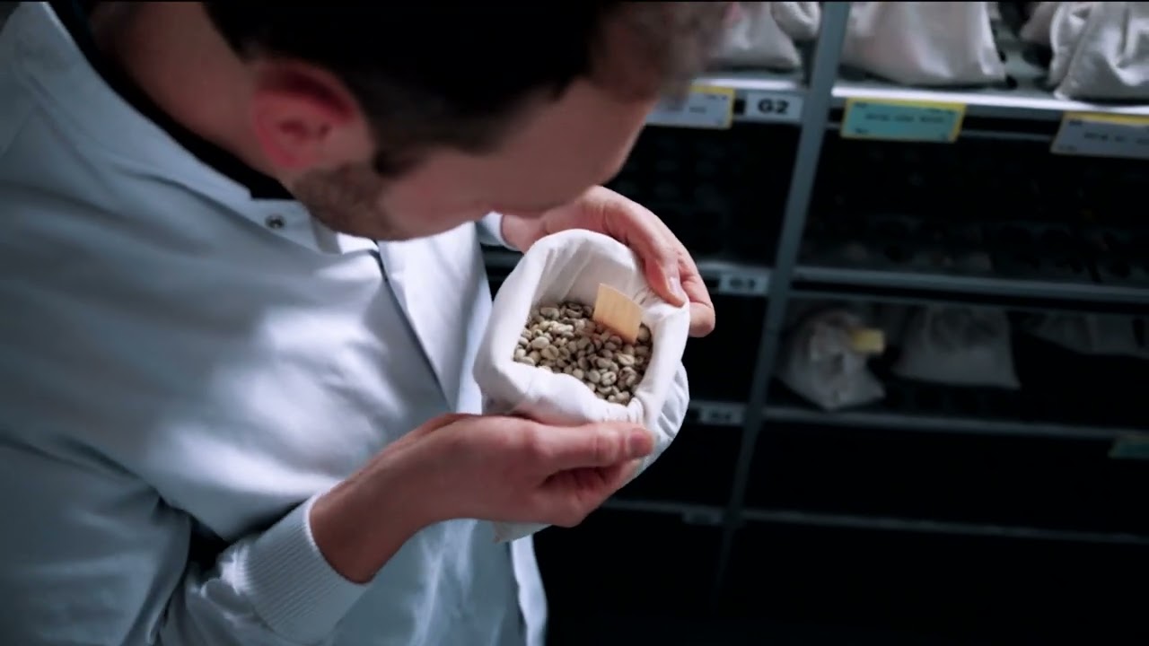 Video mapping Arabica genome
